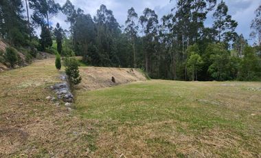 Terreno en venta de 9.000m2 con casa ideal para Instituciones en Ricaurte