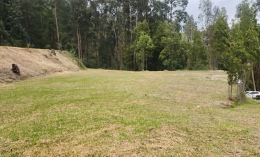 Terreno en venta de 9.000m2 con casa ideal para Instituciones en Ricaurte