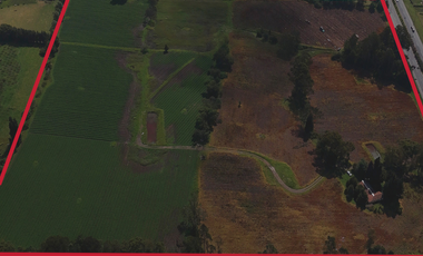 VENTA FINCA VEREDA BOSIGAS NORTE SOTAQUIRA-BOYACA