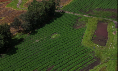 VENTA FINCA VEREDA BOSIGAS NORTE SOTAQUIRA-BOYACA