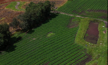 VENTA FINCA VEREDA BOSIGAS NORTE SOTAQUIRA-BOYACA