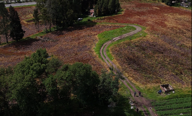 VENTA FINCA VEREDA BOSIGAS NORTE SOTAQUIRA-BOYACA