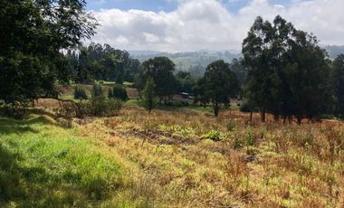 VENTA FINCA VEREDA BOSIGAS NORTE SOTAQUIRA-BOYACA
