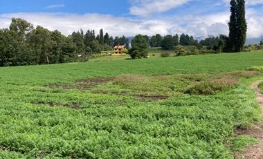 VENTA FINCA VEREDA BOSIGAS NORTE SOTAQUIRA-BOYACA