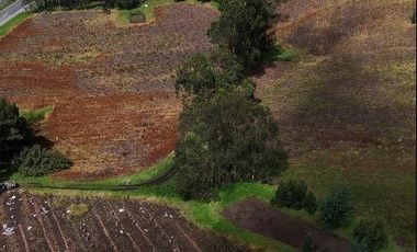 VENTA FINCA VEREDA BOSIGAS NORTE SOTAQUIRA-BOYACA