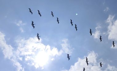 🏠 VENDO CASA DOS PLANTAS CON TERRAZA - TRES DORMITORIOS - (TONSUPA - Club del Pacífico) $77,000.oo OFERTA.