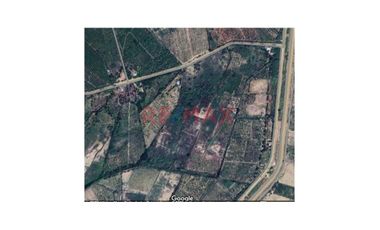 Vendo Terreno Agricola 13.04 Hectareas En Cieneguillo Sur Sullana//ID:1154811