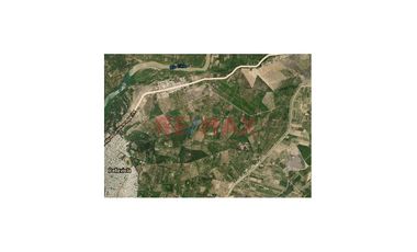 Vendo Terreno Agricola 13.04 Hectareas En Cieneguillo Sur Sullana//ID:1154811