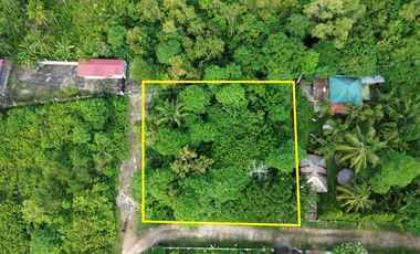 Residential Lot for Sale in a Peaceful Location Near the Sea, Camotes Island, Cebu