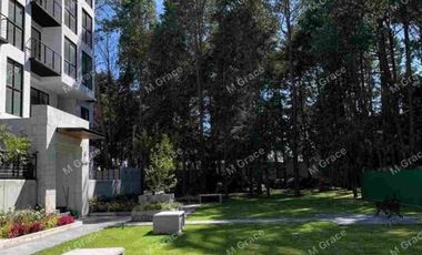 Depto en Renta Entre Árboles Metepec