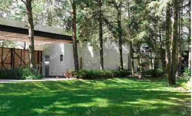 Depto en Renta Entre Árboles Metepec