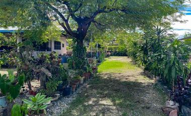 House for Sale in Cubacub Mandaue