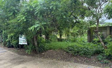 1,315 sqm Lot in Brgy. Palocpoc, Mendez Cavite for SALE! TITLED P6,500 per sqm