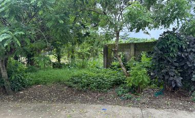 1,315 sqm Lot in Brgy. Palocpoc, Mendez Cavite for SALE! TITLED P6,500 per sqm