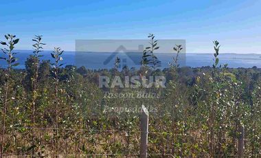Venta de 6 parcelas, vista al mar, sector Piedra Azul carretera Austral Puerto Montt, región de Los Lagos.