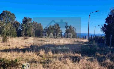 Venta de 6 parcelas, vista al mar, sector Piedra Azul carretera Austral Puerto Montt, región de Los Lagos.