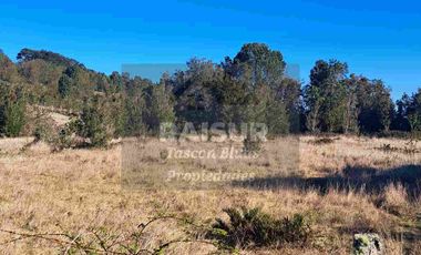 Venta de 6 parcelas, vista al mar, sector Piedra Azul carretera Austral Puerto Montt, región de Los Lagos.