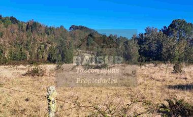 Venta de 6 parcelas, vista al mar, sector Piedra Azul carretera Austral Puerto Montt, región de Los Lagos.