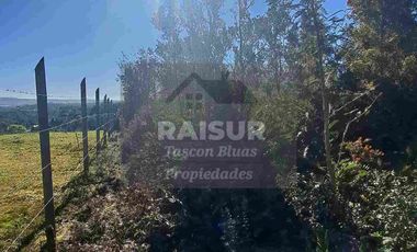 Venta de 6 parcelas, vista al mar, sector Piedra Azul carretera Austral Puerto Montt, región de Los Lagos.