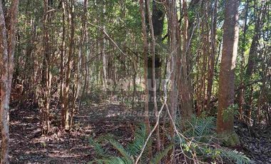 Venta de 6 parcelas, vista al mar, sector Piedra Azul carretera Austral Puerto Montt, región de Los Lagos.