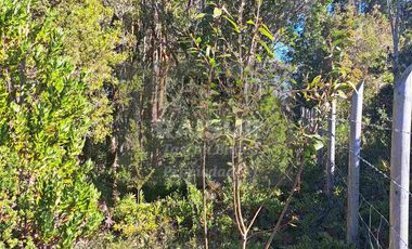 Venta de 6 parcelas, vista al mar, sector Piedra Azul carretera Austral Puerto Montt, región de Los Lagos.