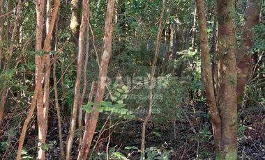 Venta de 6 parcelas, vista al mar, sector Piedra Azul carretera Austral Puerto Montt, región de Los Lagos.
