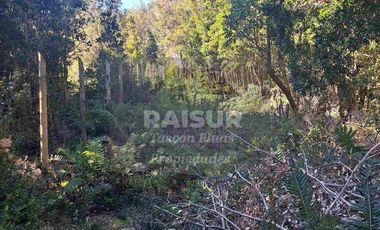 Venta de 6 parcelas, vista al mar, sector Piedra Azul carretera Austral Puerto Montt, región de Los Lagos.