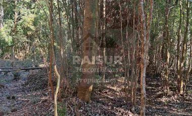 Venta de 6 parcelas, vista al mar, sector Piedra Azul carretera Austral Puerto Montt, región de Los Lagos.