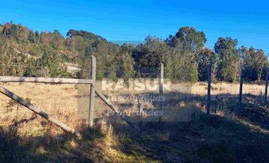 Venta de 6 parcelas, vista al mar, sector Piedra Azul carretera Austral Puerto Montt, región de Los Lagos.