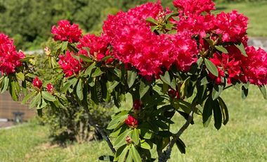 Exclusiva Casa En Pucón