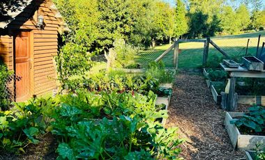 Exclusiva Casa En Pucón