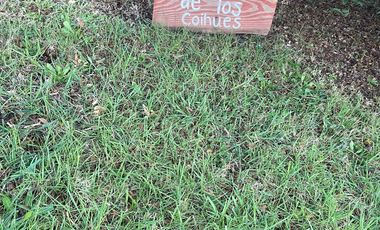 Exclusiva Casa En Pucón