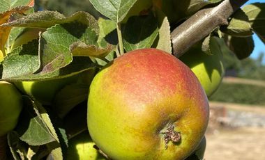 Exclusiva Casa En Pucón