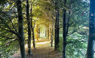 Exclusiva Casa En Pucón