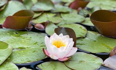 Exclusiva Casa En Pucón