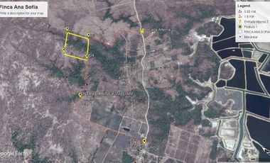 Venta Terreno de 10 hectáreas en Chanduy - Santa Elena - Finca - Lote -  T179