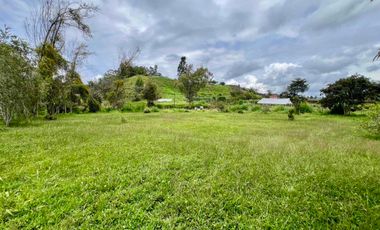 En Renta Finca en El Carmen de Viboral