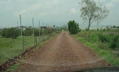 TERRENO EN RENTA TEOLOYUCAN
