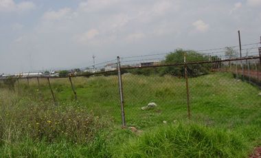 TERRENO EN RENTA TEOLOYUCAN