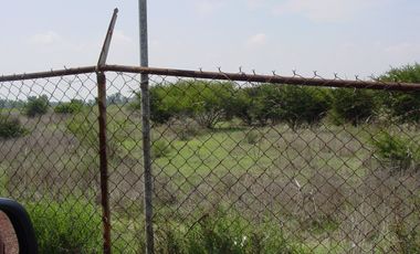 TERRENO EN RENTA TEOLOYUCAN