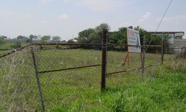 TERRENO EN RENTA TEOLOYUCAN