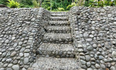 CASA BAMBU CON HECTAREA