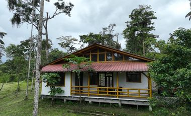 CASA BAMBU CON HECTAREA