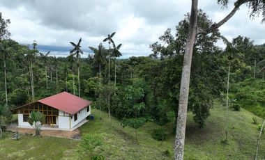 CASA BAMBU CON HECTAREA