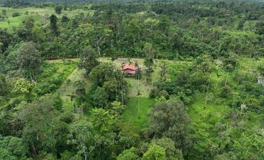 CASA BAMBU CON HECTAREA