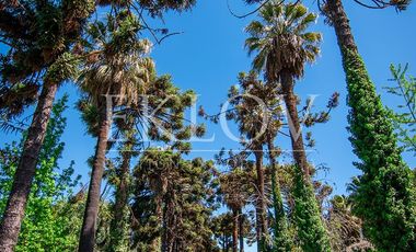 Gran Parcela En Exclusivo Condominio En Calera De Tango, Rm