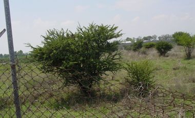 TERRENO EN VENTA TEOLOYUCAN