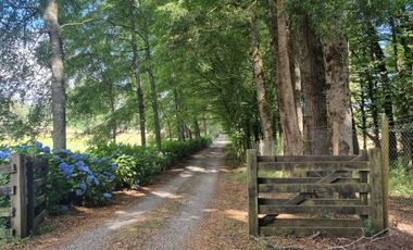 Parcelas En Zona Privilegiada Villarrica  Pucón