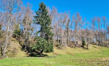 Parcelas En Zona Privilegiada Villarrica  Pucón