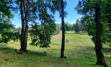 Parcelas En Zona Privilegiada Villarrica  Pucón